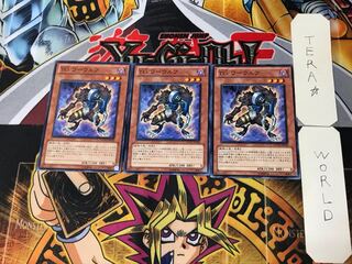 T.G. Warwolf 3 Normal, set of 3 Tera.