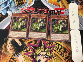 Traptrix Vesiculo 4 Normal, set of 3 Tera