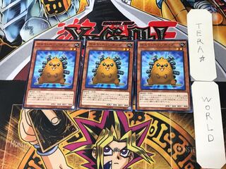 Quillbolt Hedgehog 1 Normal, set of 3 Tera.