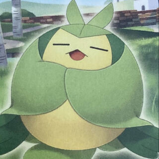 のりさん2000円オリパ　2口