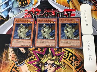 D.D. Survivor 4 Normal, set of 3 Tera