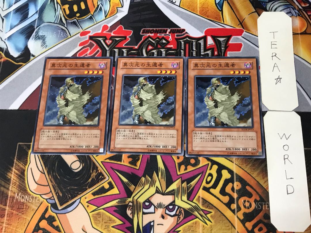 D.D. Survivor 5 Normal, set of 3 Tera