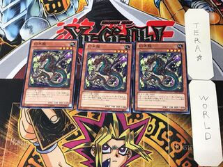 幻木龍 2 ノーマル 3枚セット てら