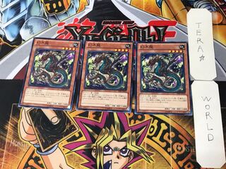 幻木龍 4 ノーマル 3枚セット てら