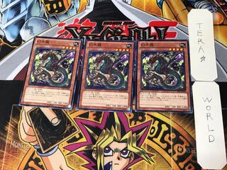 幻木龍 5 ノーマル 3枚セット てら