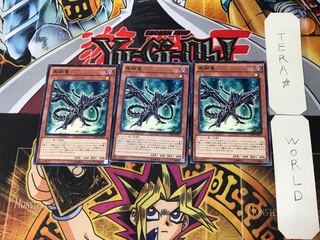 Black Metal Dragon 6 Normal, set of 3, Tera