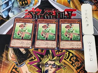 Valerifawn, Mystical Beast of the Forest 4 Normal, set of 3 Terra