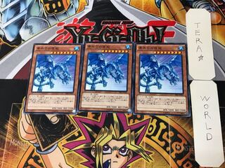 青眼の白夜龍 2 ノーマル 3枚セット てら 3枚
