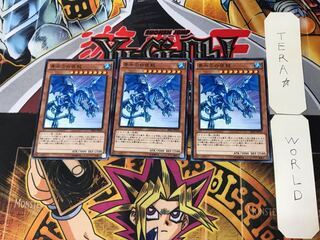 青眼の白夜龍 3 ノーマル 3枚セット てら 3枚