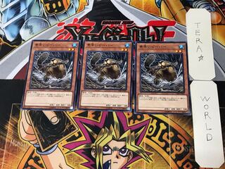 Nimble Beaver 2 Normal, set of 3 Tera