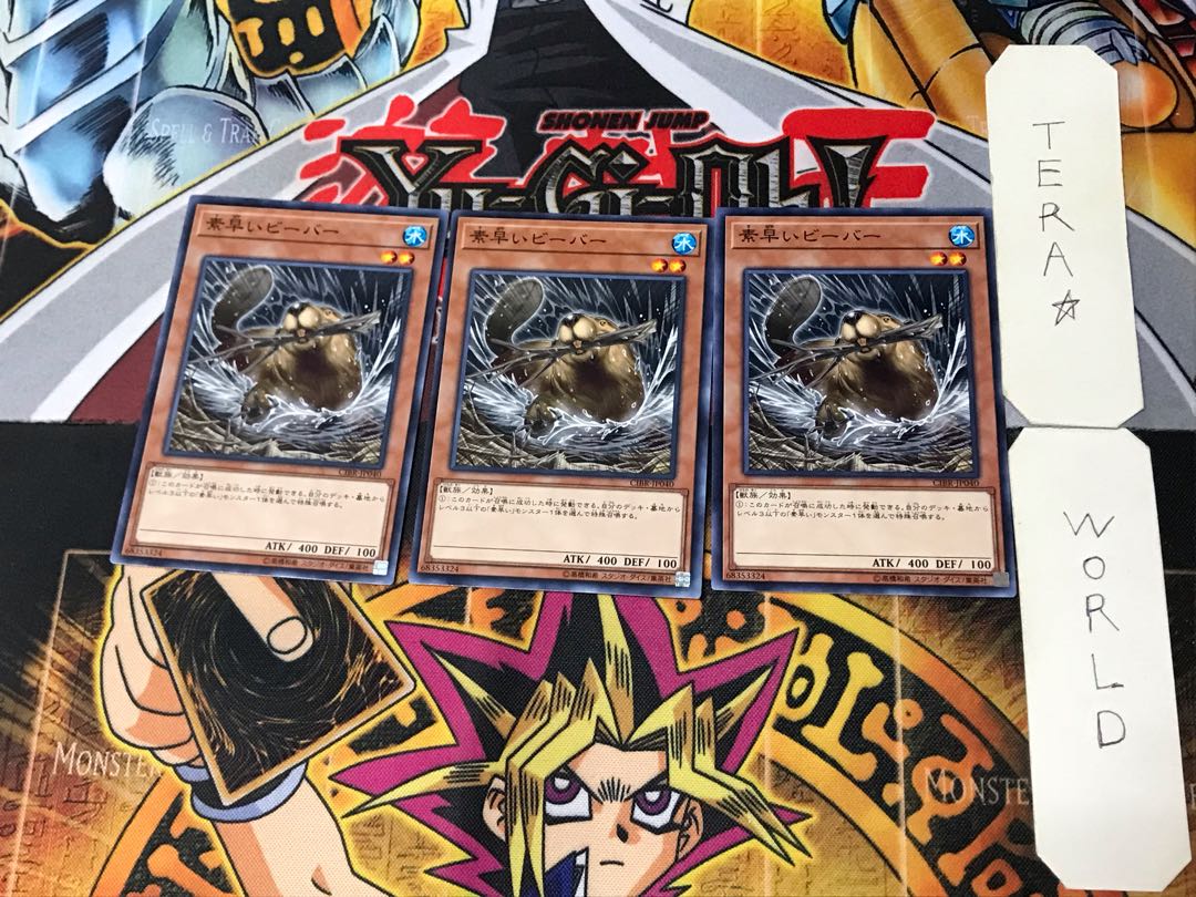 Nimble Beaver 3 Normal, set of 3 Tera