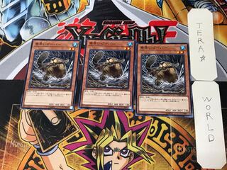 Nimble Beaver 4 Normal, set of 3 Tera