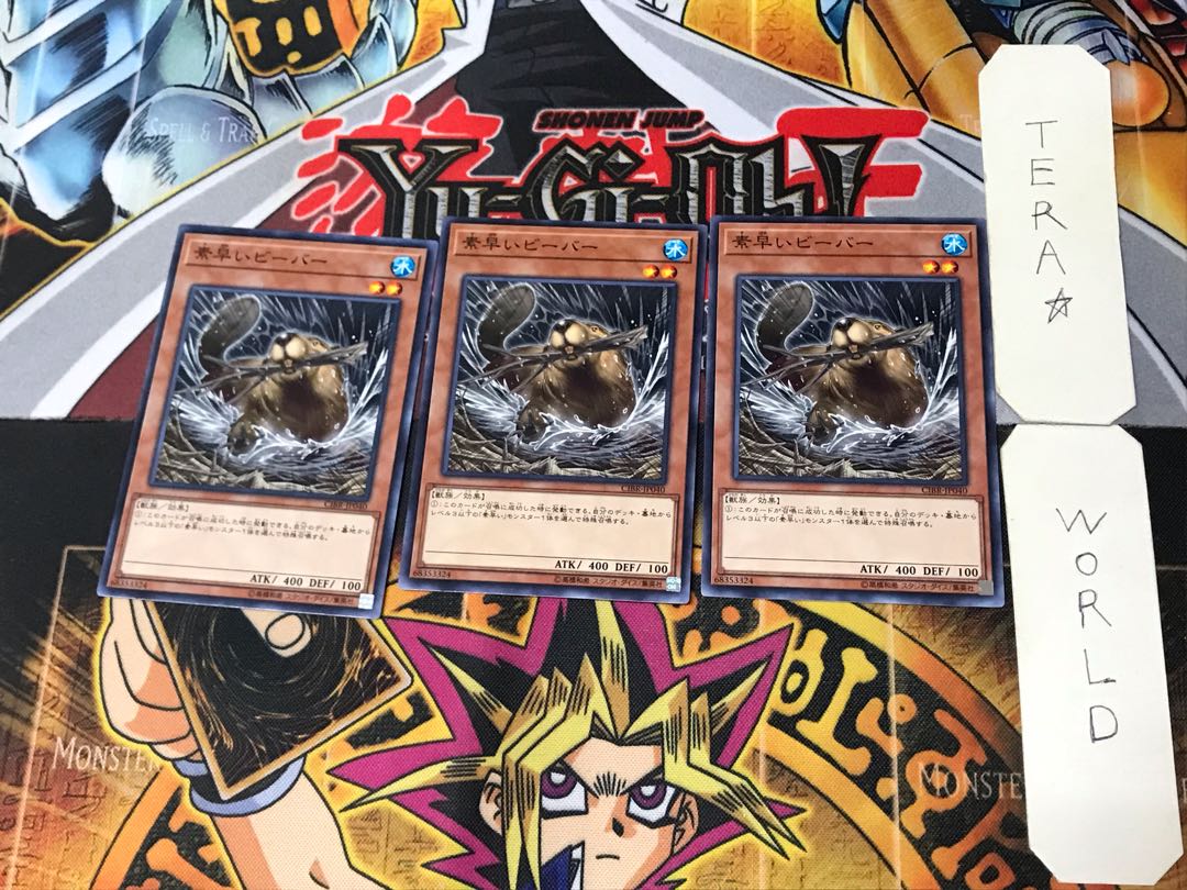 Nimble Beaver 5 Normal, set of 3 Tera