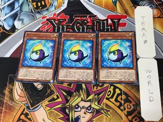 Rainbow Kuriboh 5 Normal, set of 3 Tera