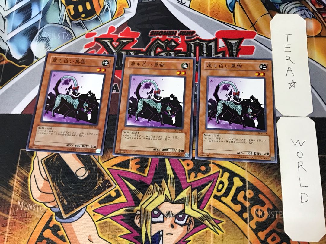 Dark Cat with White Tail 3 Normal Set of 3 Tera