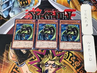 Wandering King Wildwind 5 Normal, set of 3 Tera