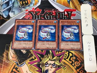 Royal Swamp Eel 4 Normal, set of 3 Tera.