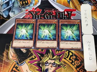 Herald of Green Light 4 Normal, set of 3 Tera