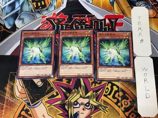 Herald of Green Light 5 Normal, set of 3 Tera