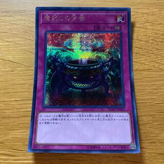 Anti-Spell Fragrance Secret Rare JP045