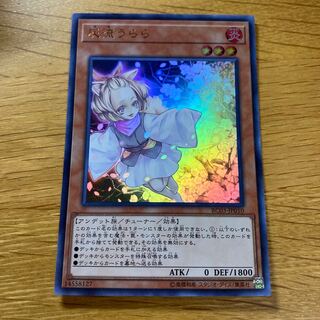 Ash Blossom & Joyous Spring (existing illustration) Ultra Rare JP010