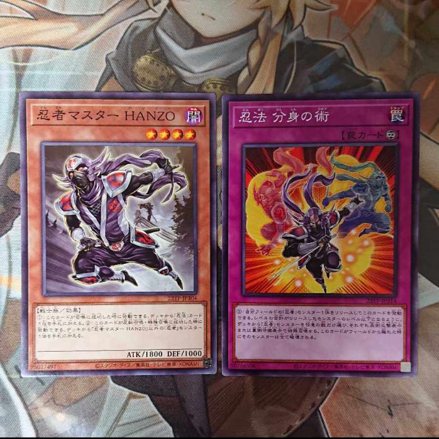 Ninja Set (Ninja Grandmaster Hanzo, Ninjitsu Art of Duplication)