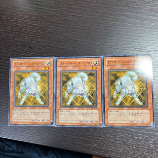 ライトロード・ハンター ライコウ ノーマル JP022 1枚