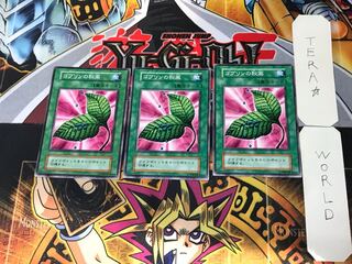 Goblin's Secret Remedy 2 Early Normal Set of 3 Tera.