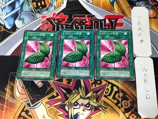 Goblin's Secret Remedy 3 Early Normal Set of 3 Tera