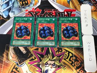 Steel Shell 1 Early Normal Set of 3 Tera.