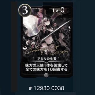 (最終値下げ)アミルの生贄