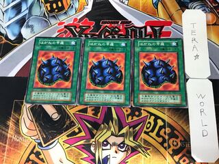 Steel Shell 2 Early Normal Set of 3 Tera