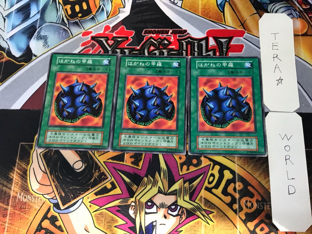 Steel Shell 3 initial Normal 3-piece set Tera