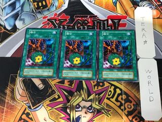 融合 3 初期 ノーマル 3枚セット てら