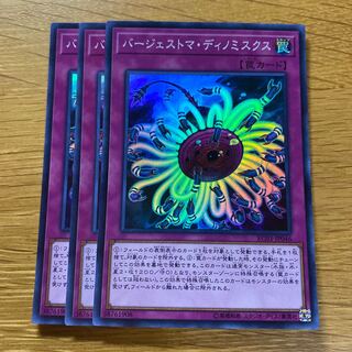 Paleozoic Dinomischus Super Rare JP046