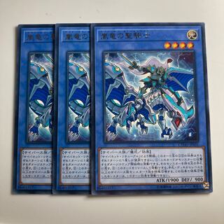 Paladin of Storm Dragon $2232