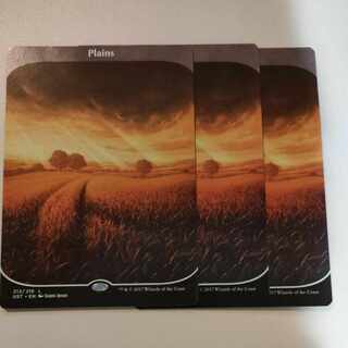 Unstable 平地 1枚