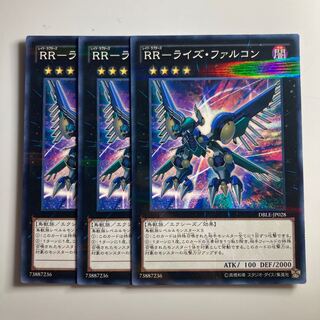 8052 RR-Rise Falcon $2300