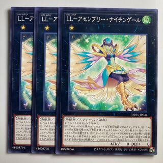 LL-Assembly Nightingale $2319