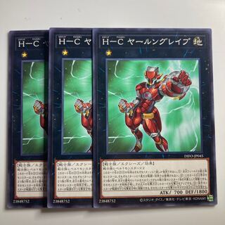 8072 Ｈ-Ｃ ヤールングレイプ ノーマル JP045