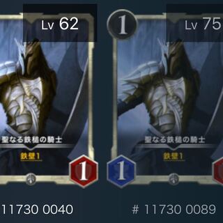 (最終値下げ)聖なる鉄槌の騎士（2枚セット）