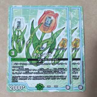 チュップII　2枚　② 2枚