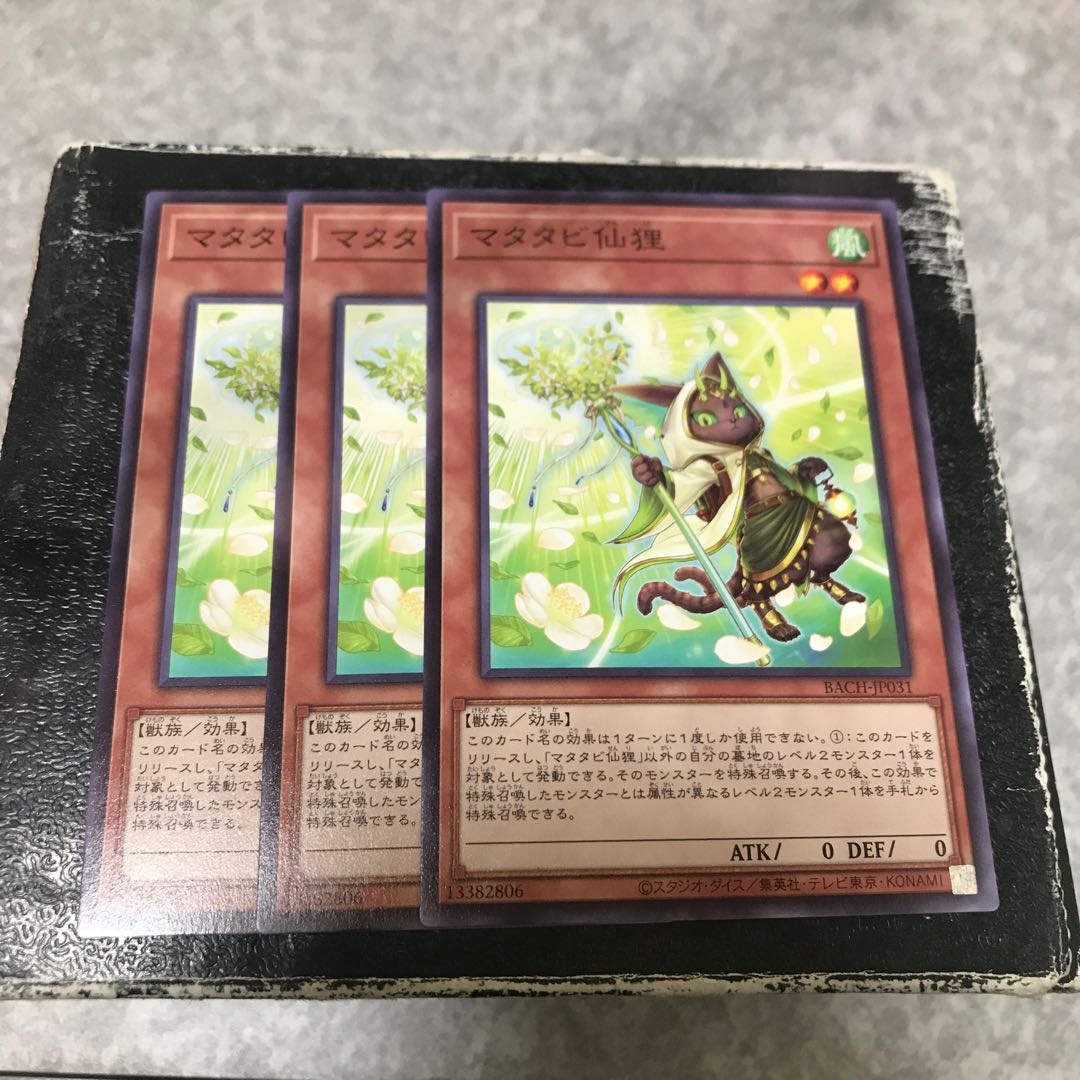 Matatabi Sengan Raccoon Normal 3 pieces