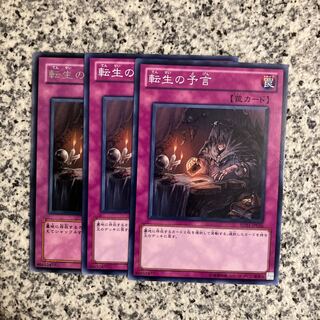 The Transmigration Prophecy Normal JP035
