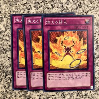 Fiery Fervor Normal JP026