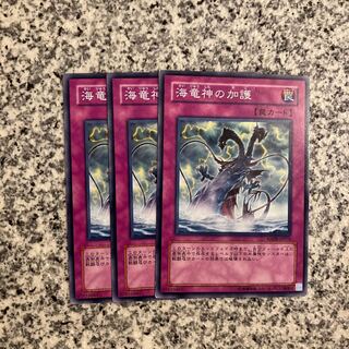 海竜神の加護 ノーマル JP032