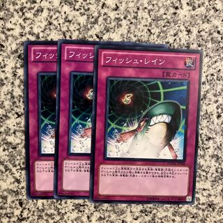 Fish Rain Normal JP068