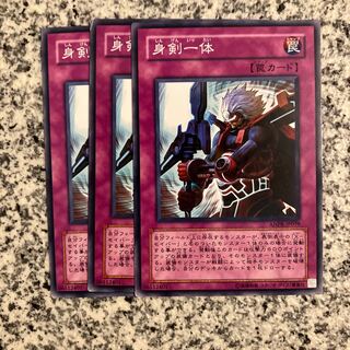 At One With the Sword Normal JP041