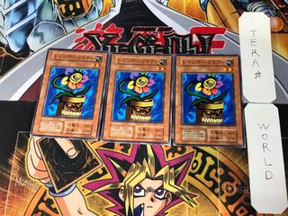 レインボー・フラワー 2 初期 ノーマル 3枚セット てら