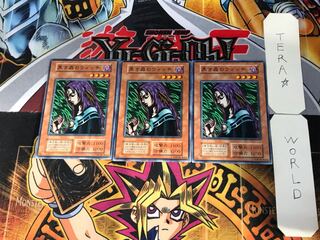 Witch of the Black Forest 3 Early Normal Set of 3 Tera